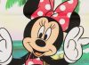 Disney Minnie "Summer Fun" kislány nyári póló