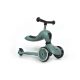 Scoot and Ride Highwaykick1.  2 in 1 kismotor/roller Forest