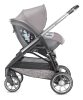 Inglesina Darwin I-SIZE 0+ Chelsea Grey